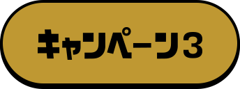 キャンペーン3