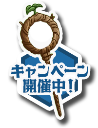 キャンペーン開催中！