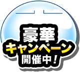 豪華キャンペーン開催中！